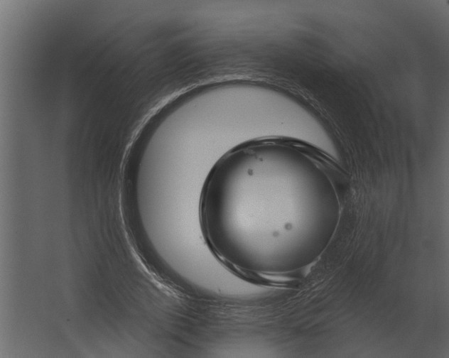 X0000067510728200604211750