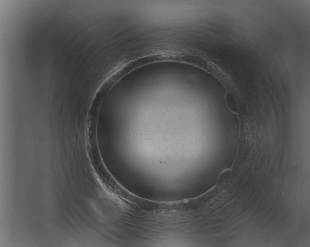 X0000067510730200604211750