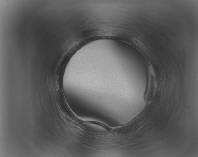 X0000067510731200604211750