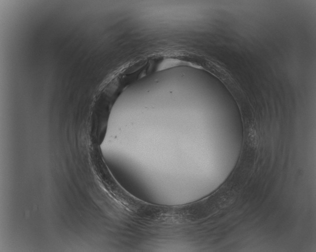 X0000067510732200604211750