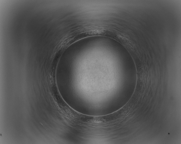 X0000067510743200604211750