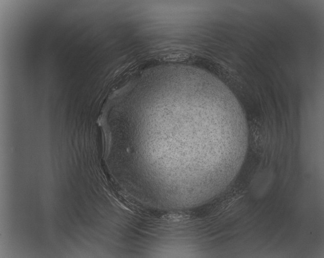 X0000067510745200604211750