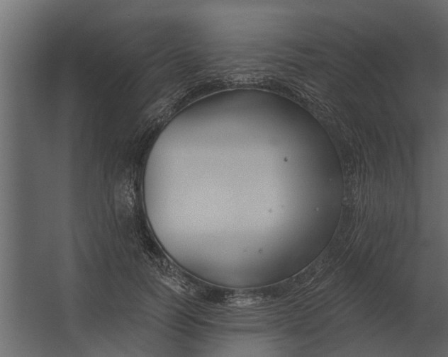 X0000067510746200604211750