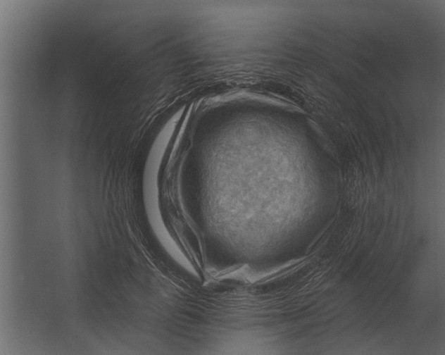 X0000067510747200604211750