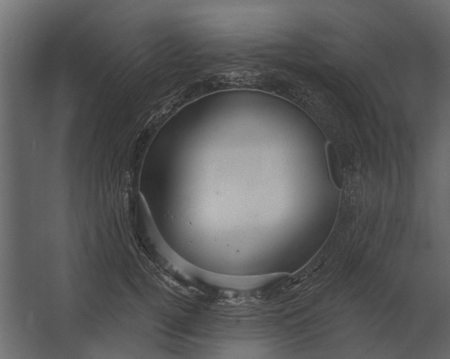 X0000067510752200604211750