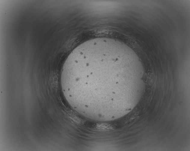 X0000067510753200604211750