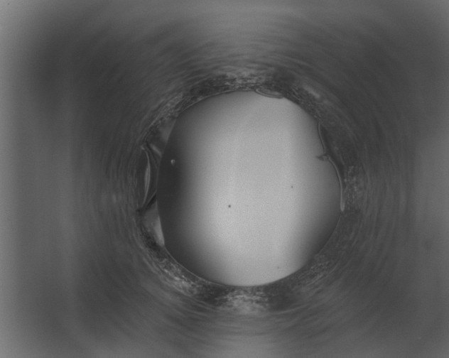 X0000067510756200604211750