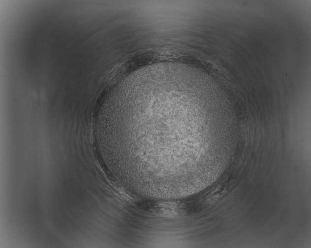 X0000067510757200604211750