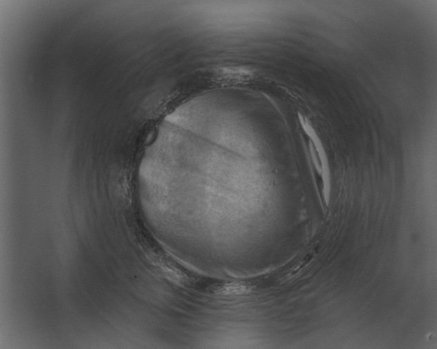 X0000067510759200604211751