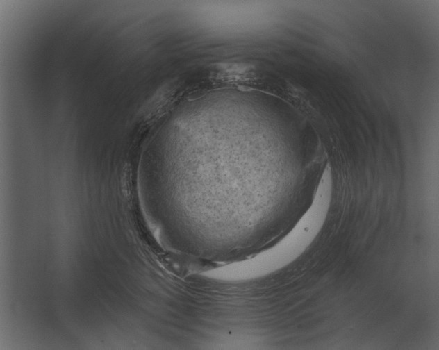 X0000067510760200604211751