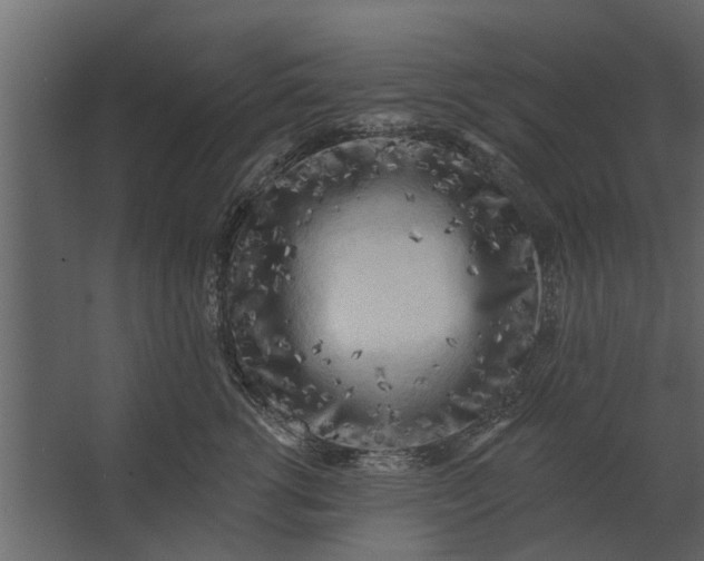 X0000067510762200604211751