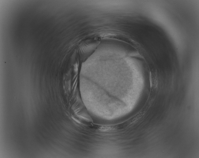 X0000067510766200604211751