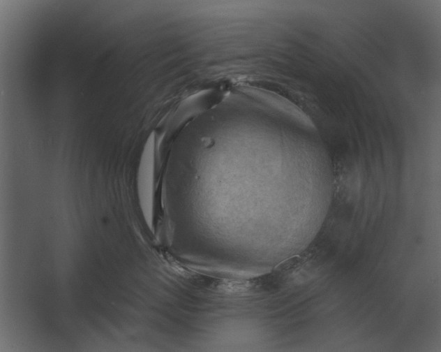 X0000067510767200604211751