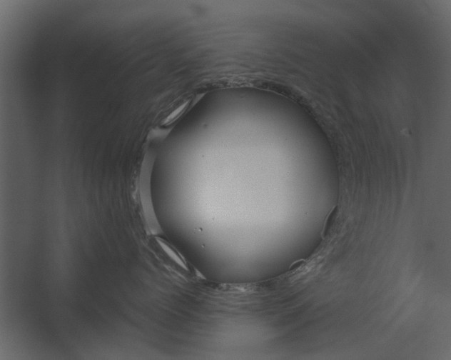 X0000067510768200604211751