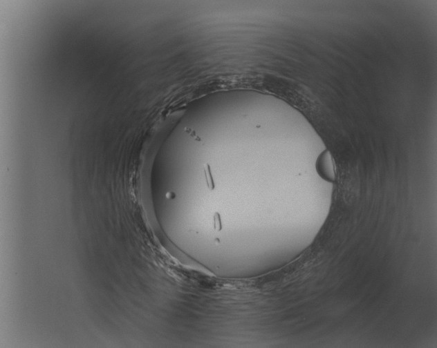 X0000067510770200604211750