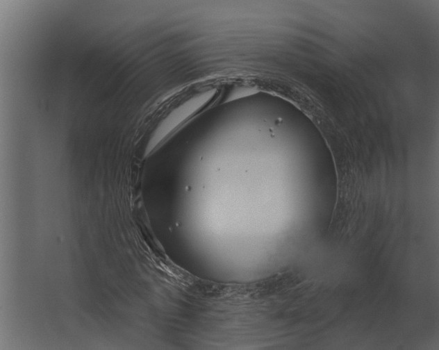 X0000067510773200604211750