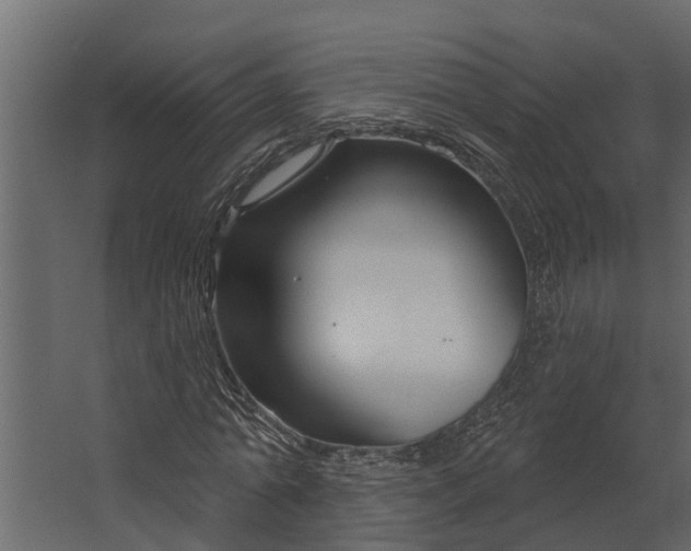 X0000067510774200604211750