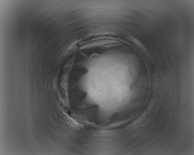 X0000067510777200604211750