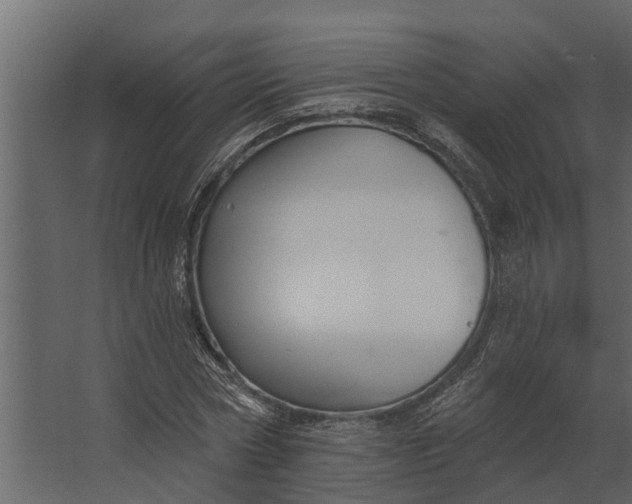 X0000067510778200604211750