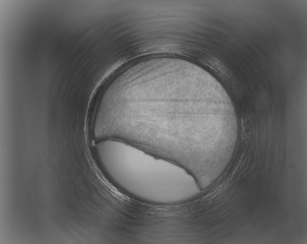 X0000067510780200604211750