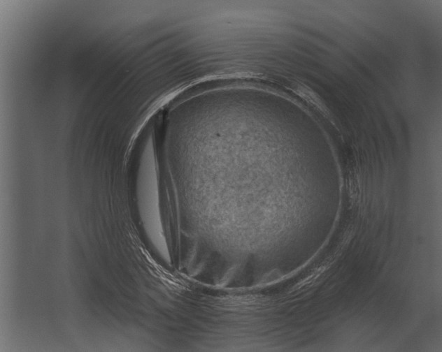 X0000067510781200604211750