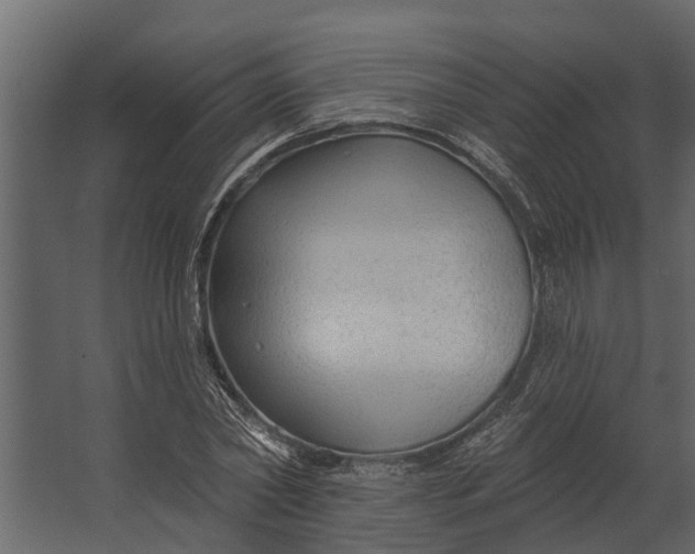 X0000067510782200604211750