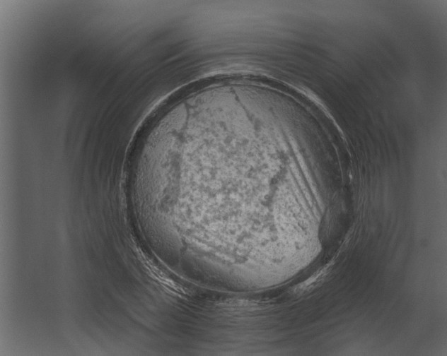 X0000067510783200604211750