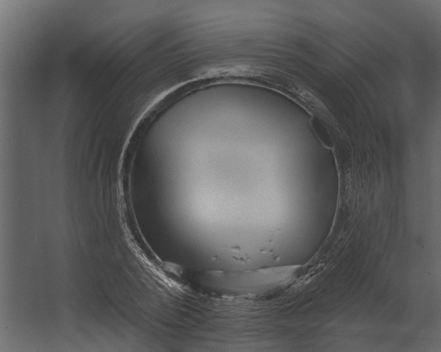 X0000067510784200604211750