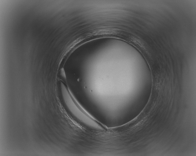 X0000067510786200604211750