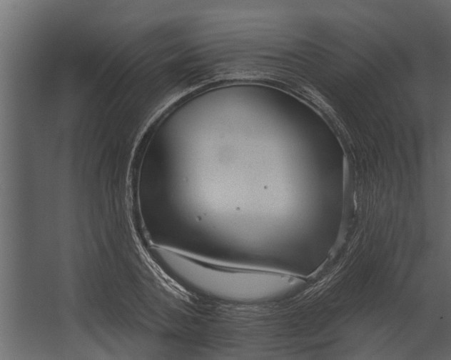 X0000067510787200604211750