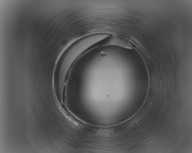 X0000067510788200604211750