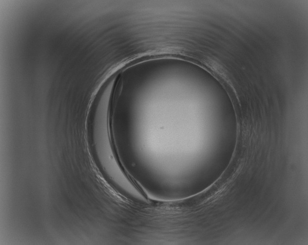 X0000067510789200604211750