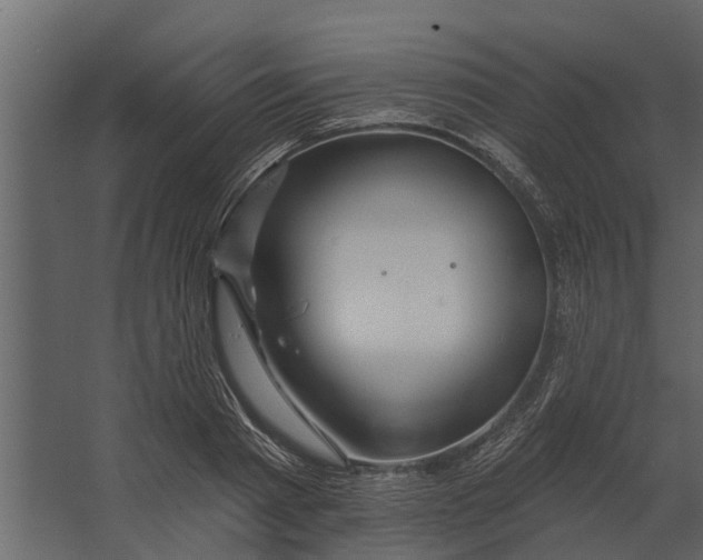 X0000067510793200604211749