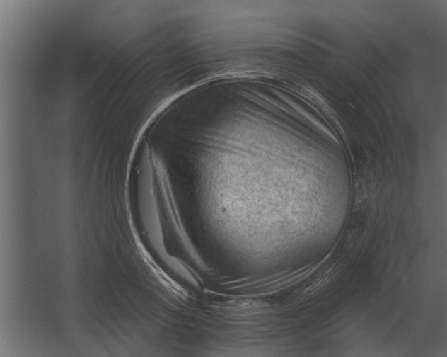 X0000067510795200604211749