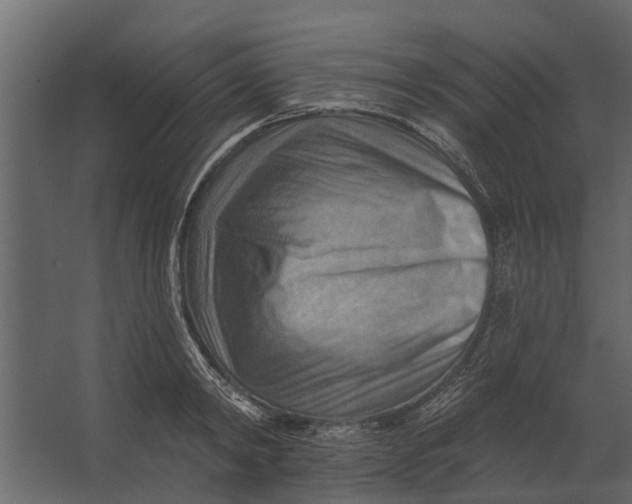 X0000067510798200604211749