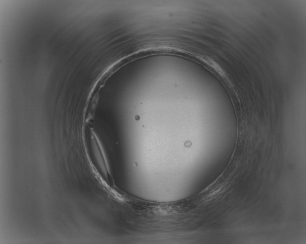 X0000067510799200604211749