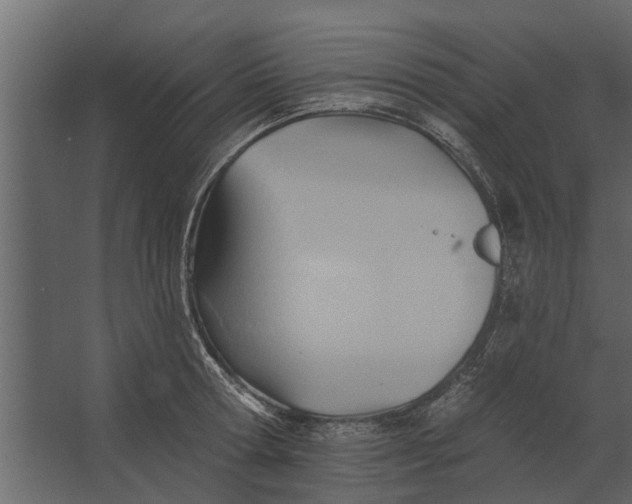 X0000067510802200604211749