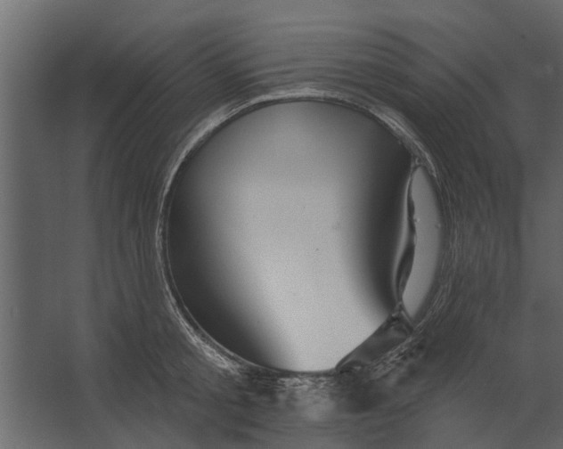 X0000067510805200604211749