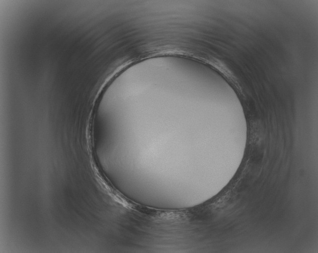 X0000067510806200604211749