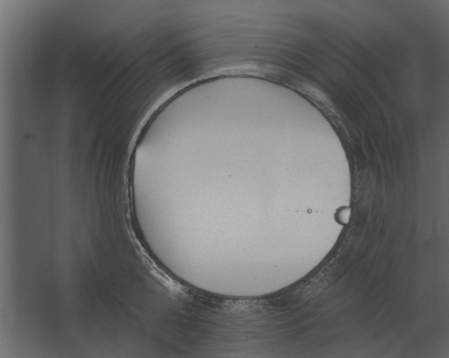 X0000067510808200604211749