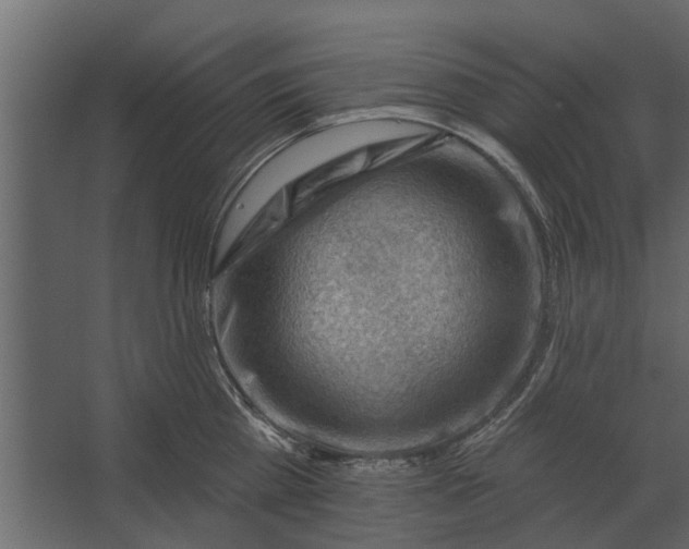 X0000067510809200604211749