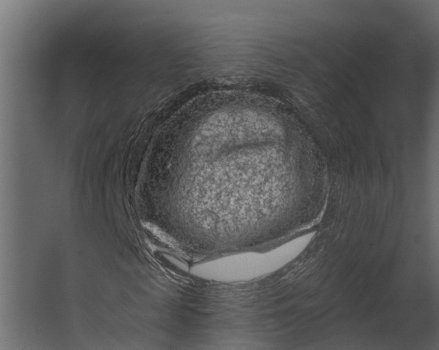 X0000067510817200604211748