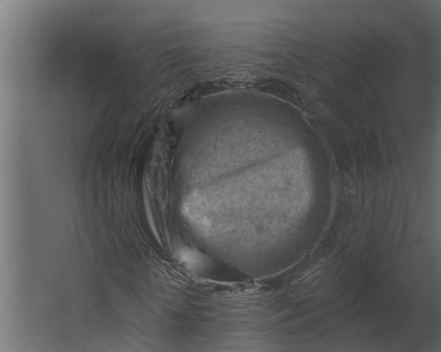 X0000067510818200604211748