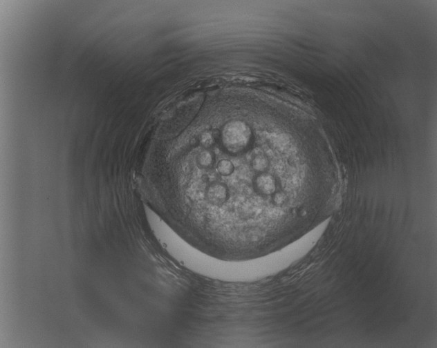 X0000067510819200604211748