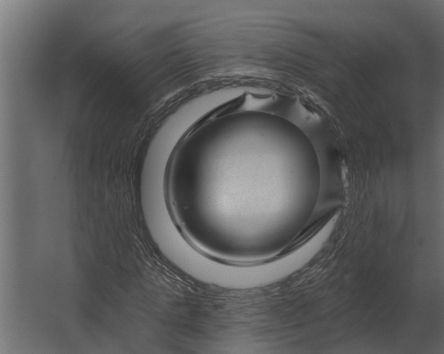 X0000067510821200604211748