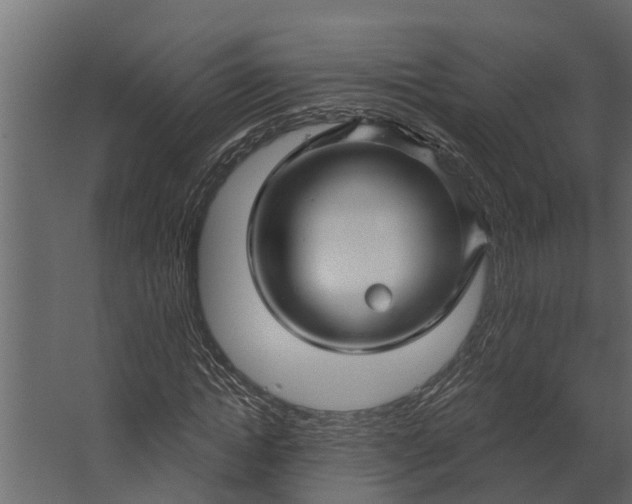 X0000067510822200604211748