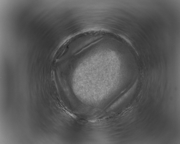 X0000067510823200604211748