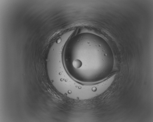 X0000067510824200604211748