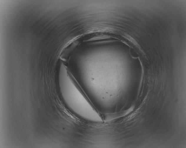 X0000067510826200604211748