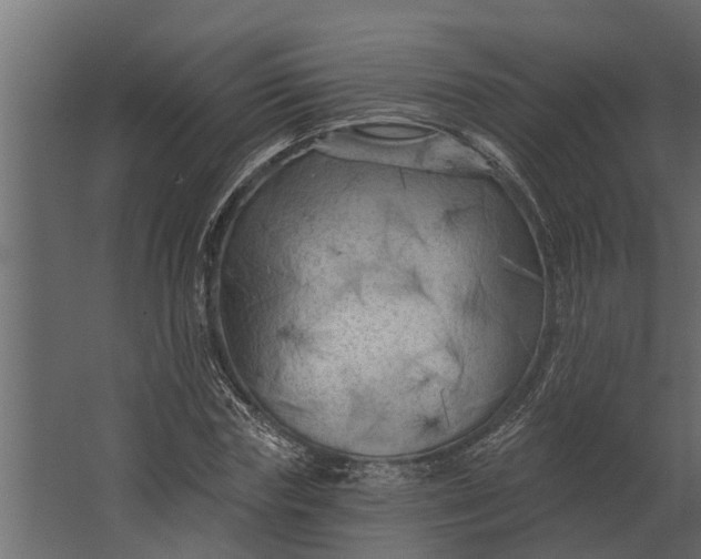 X0000067510827200604211748